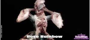 Rose Rainbow - Marie Antoinette